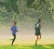 2008 Smokey Bear Run Information